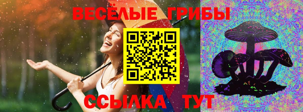 Сальск  Псилоцибиновые грибы мухоморы  Вход с VPN 