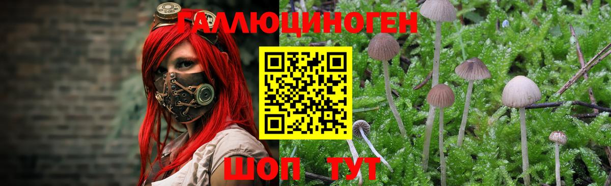 Галлюциногенные грибы Magic Shrooms Сальск