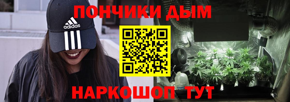 Шишки марихуана семена  Каннабис Amnesia  Сальск  Вход с VPN 